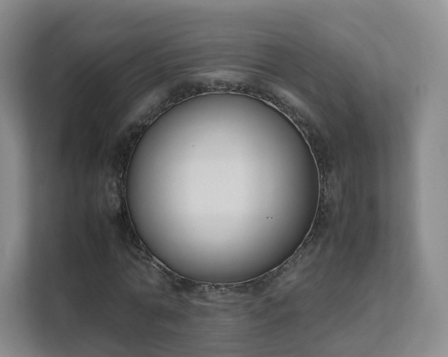 X0000111630774200907241049