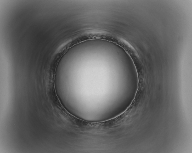 X0000111630775200907241049