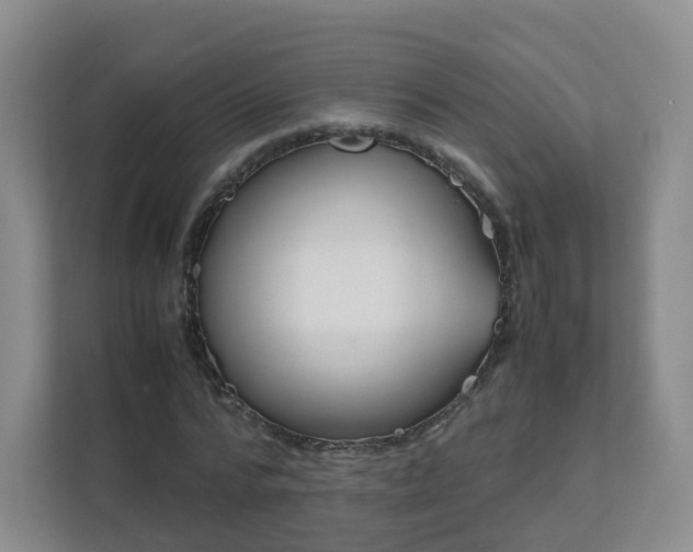 X0000111630776200907241049