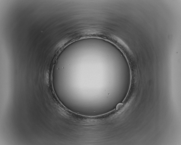 X0000111630777200907241049