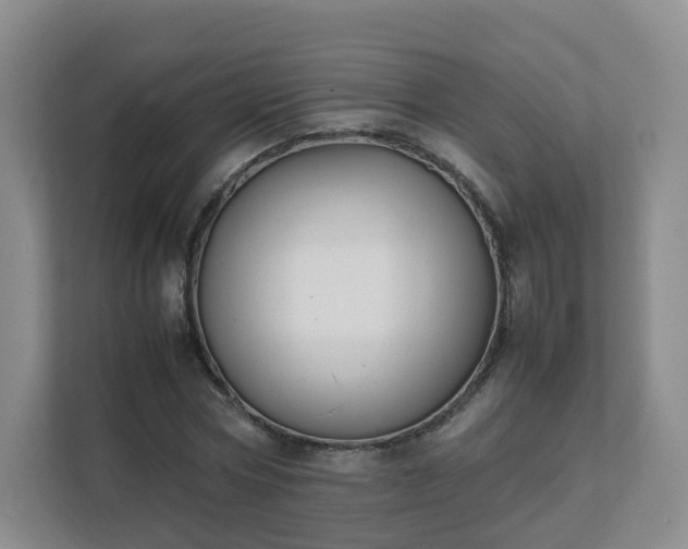 X0000111630778200907241049