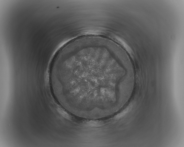 X0000111630779200907241049