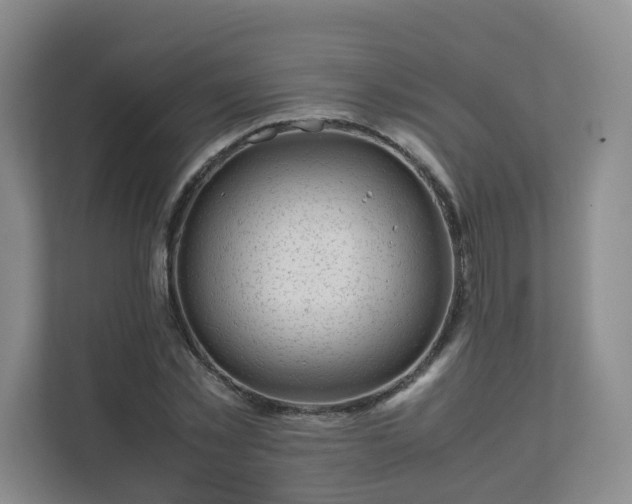 X0000111630781200907241049