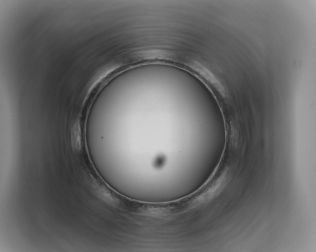 X0000111630782200907241049