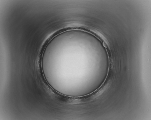 X0000111630783200907241049