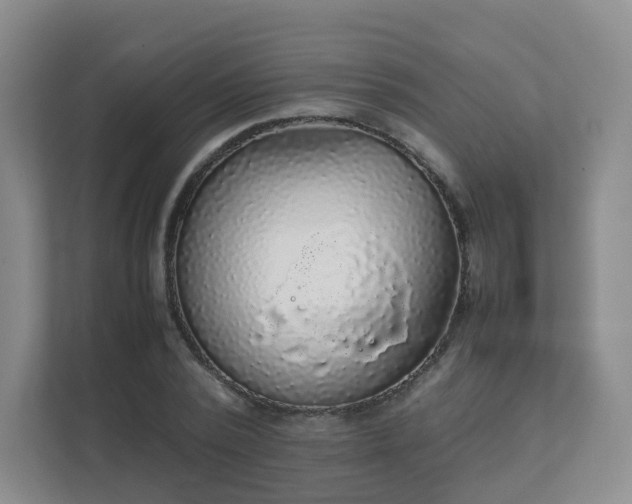 X0000111630784200907241049