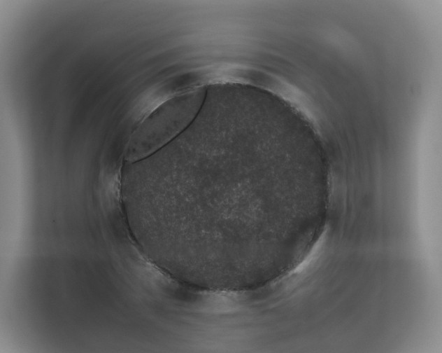 X0000111630785200907241049