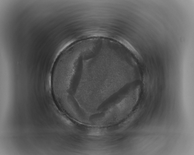 X0000111630790200907241049