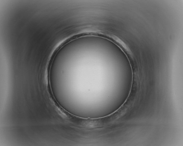 X0000111630791200907241049