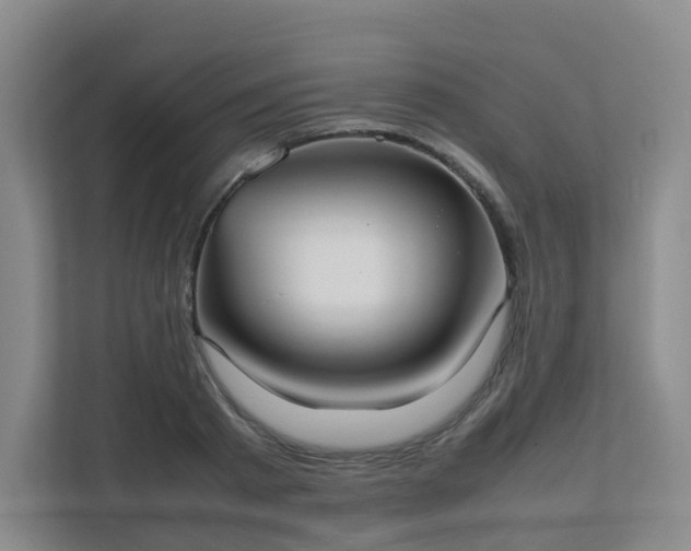 X0000111630793200907241049