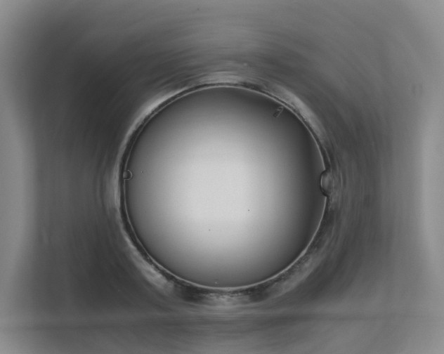 X0000111630795200907241049