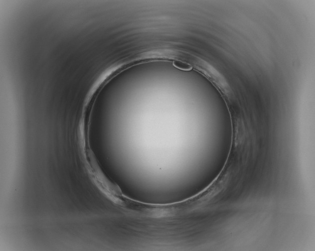 X0000111630796200907241049