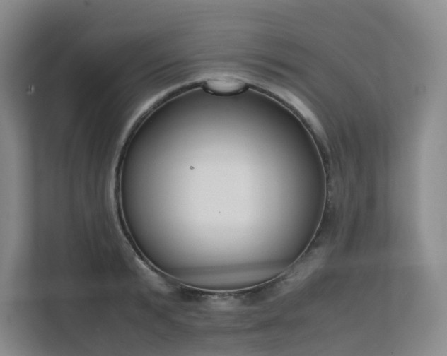 X0000111630799200907241049