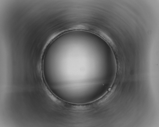 X0000111630800200907241049