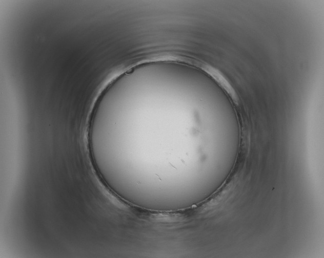 X0000111630805200907241049