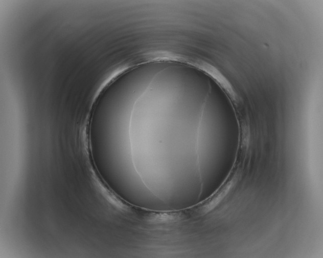 X0000111630806200907241049