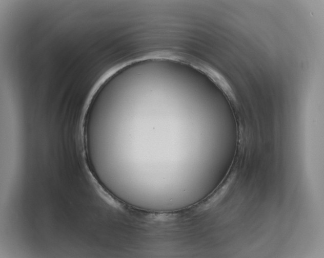 X0000111630808200907241049