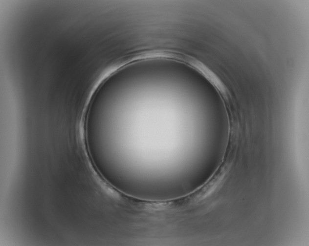 X0000111630813200907241049