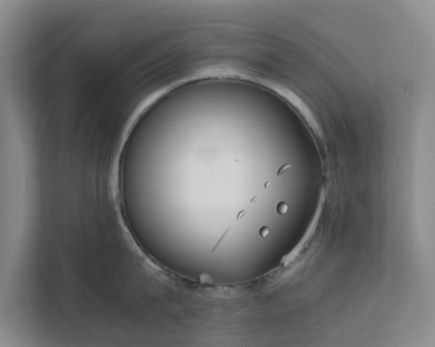 X0000111630815200907241049