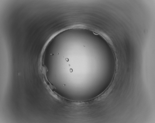 X0000111630816200907241049