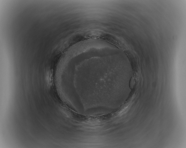 X0000111630818200907241048