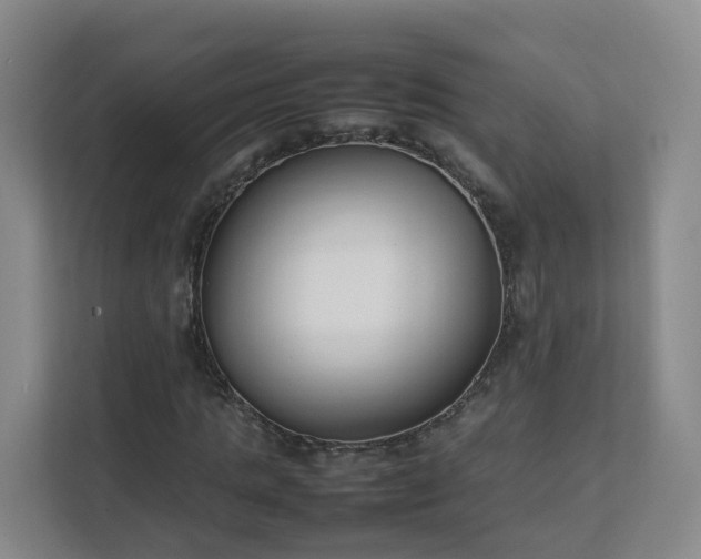 X0000111630821200907241048