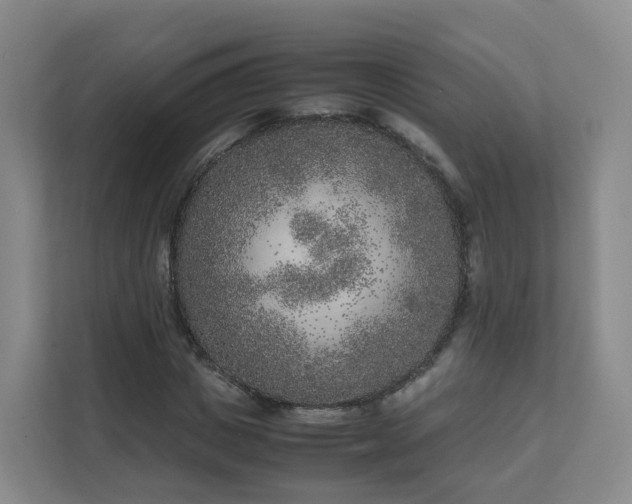 X0000111630825200907241048