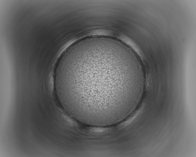 X0000111630829200907241048