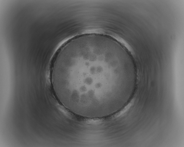 X0000111630830200907241048