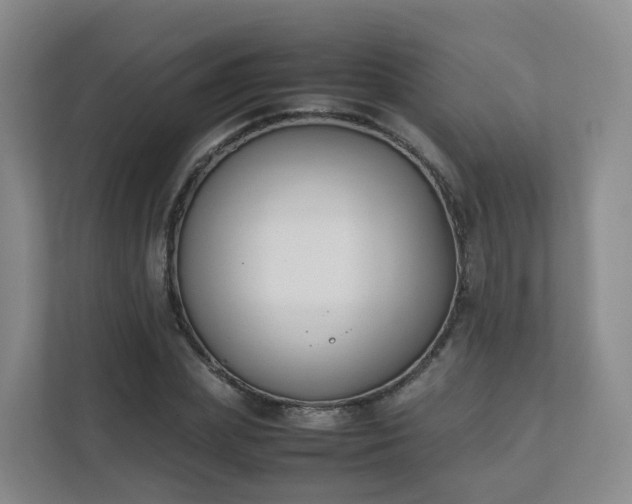 X0000111630831200907241048