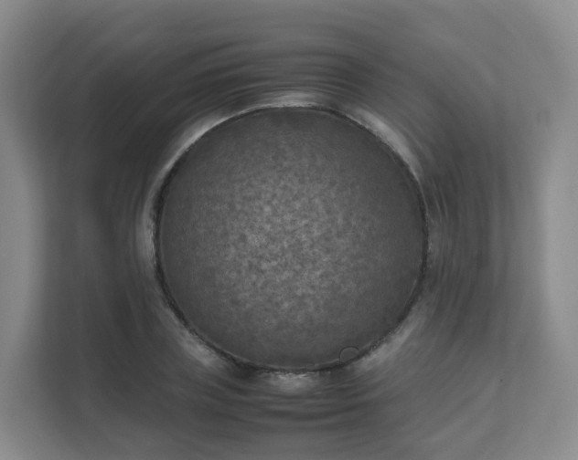 X0000111630835200907241048