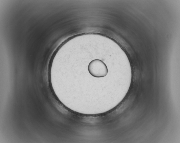 X0000111630836200907241048