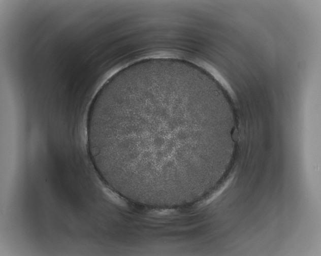 X0000111630837200907241048