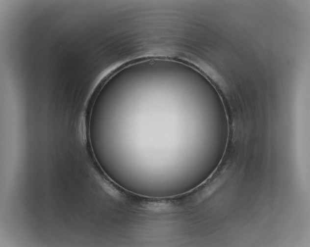 X0000111630838200907241048