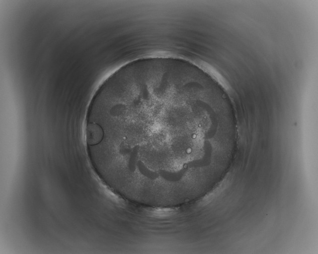 X0000111630839200907241049