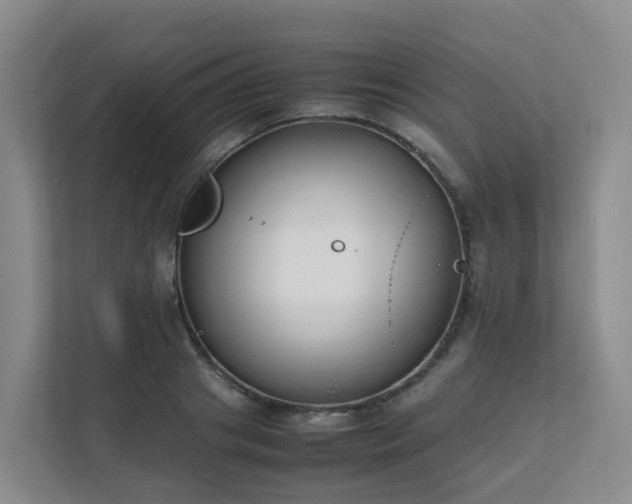 X0000111630841200907241049