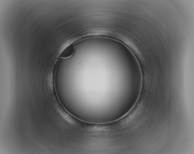 X0000111630842200907241049