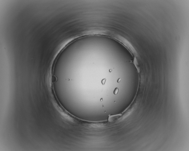 X0000111630844200907241049