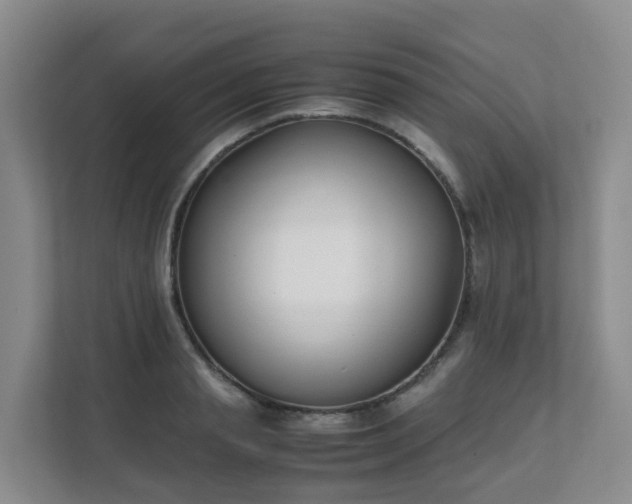 X0000111630845200907241049