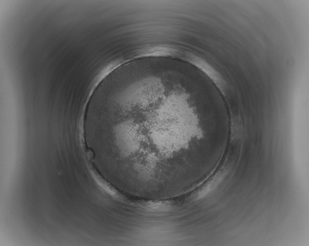 X0000111630850200907241049