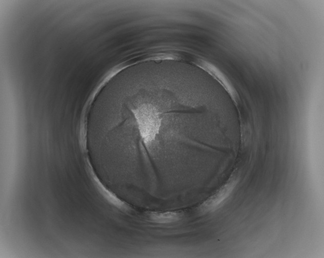 X0000111630851200907241049