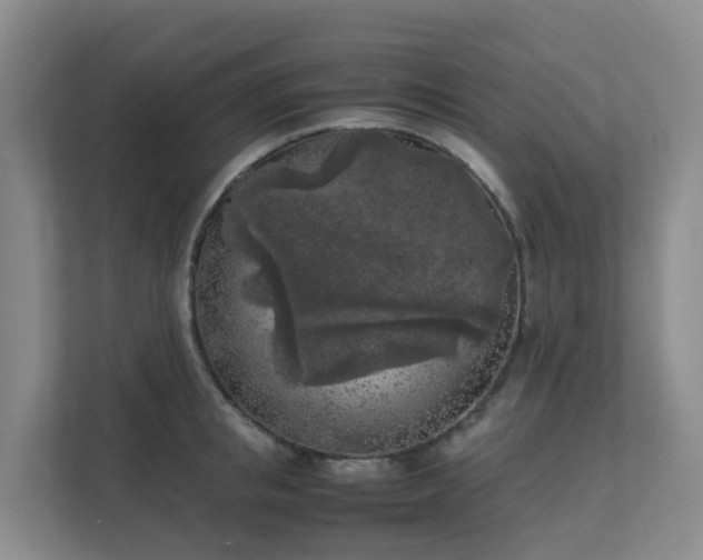 X0000111630853200907241049