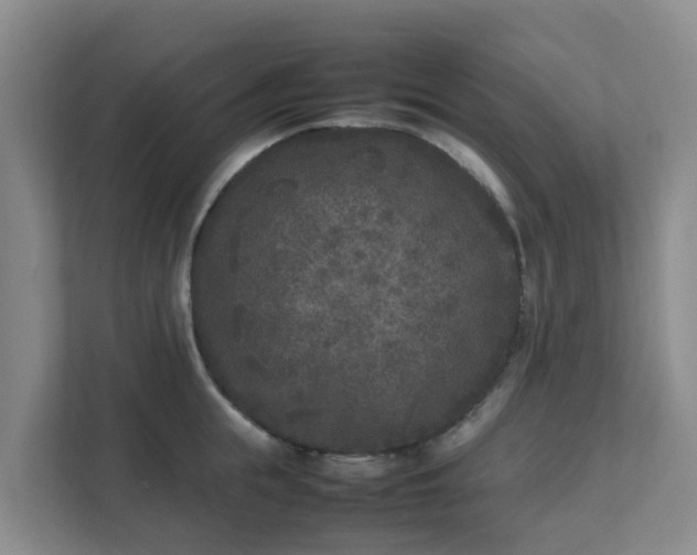 X0000111630855200907241049