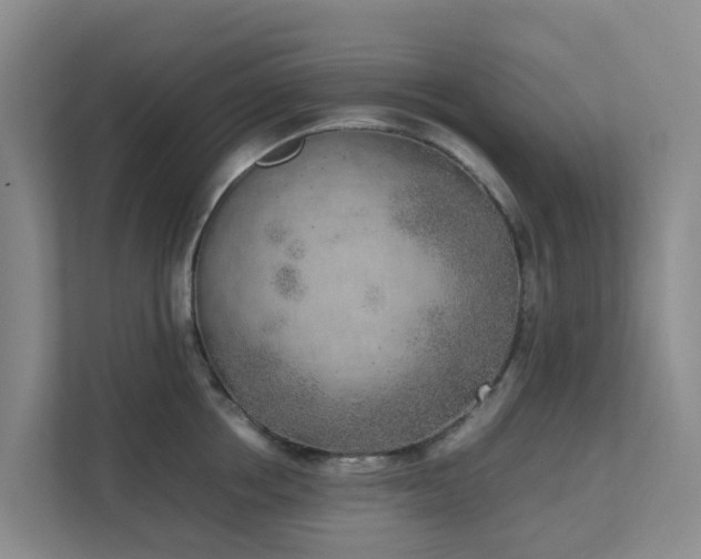 X0000111630858200907241049