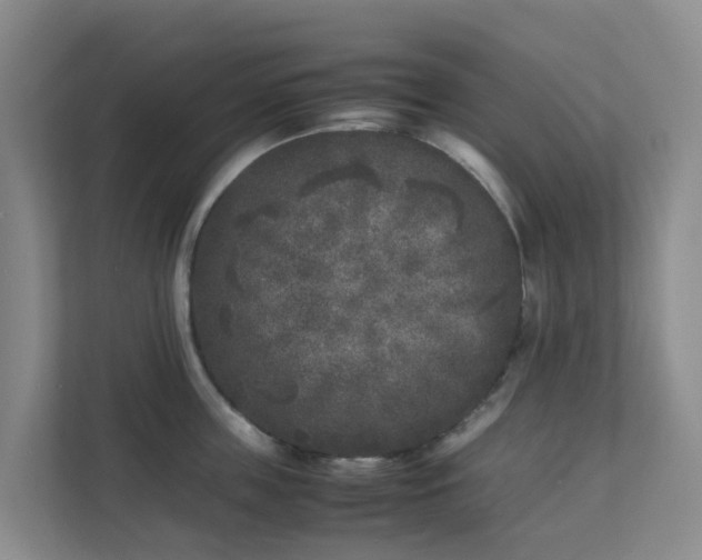 X0000111630859200907241049