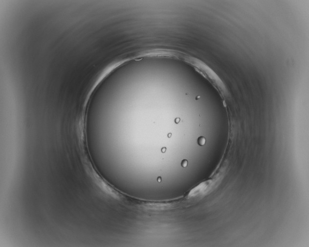 X0000111630860200907241049