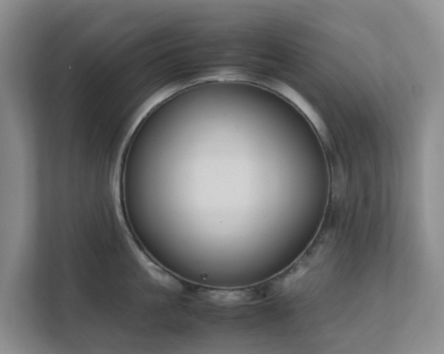 X0000111630861200907241049