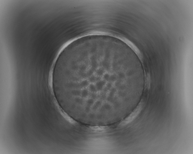 X0000111630862200907241049