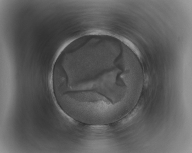 X0000111630863200907241049