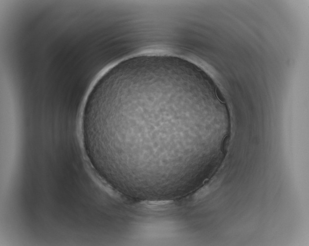 X0000111630864200907241049